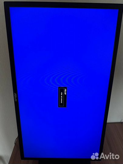 Монитор 240 гц asus