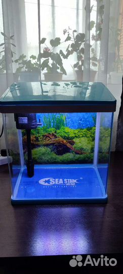 Аквариум для рыбок