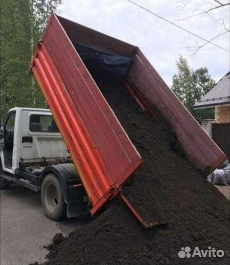 Растения для дома
