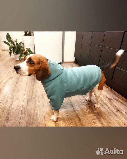 Кофта для собак