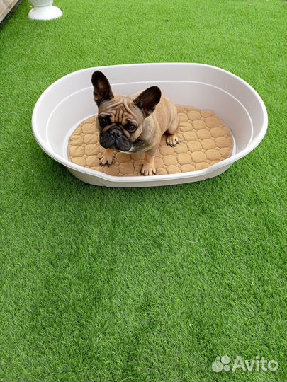 Лежанка для собак