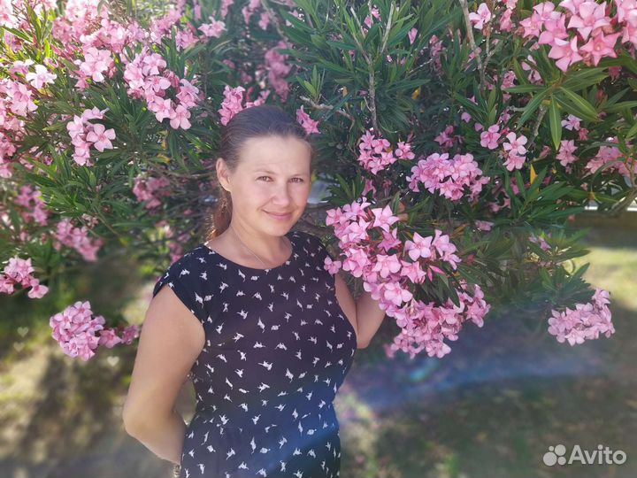 Репетитор по английскому языку на лето