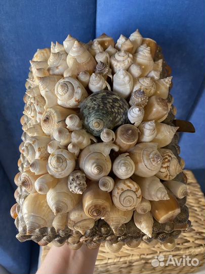 Шкатулка из ракушек ручная работа