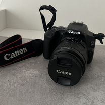 Зеркальный фотоаппарат canon eos 250d