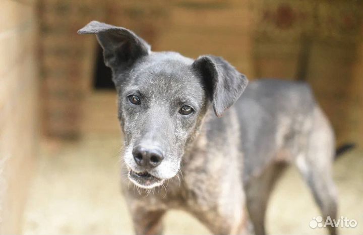 Есть ли шанс у Бучи увидеть другую жизнь