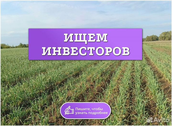 Ищу инвестора для развития бизнеса