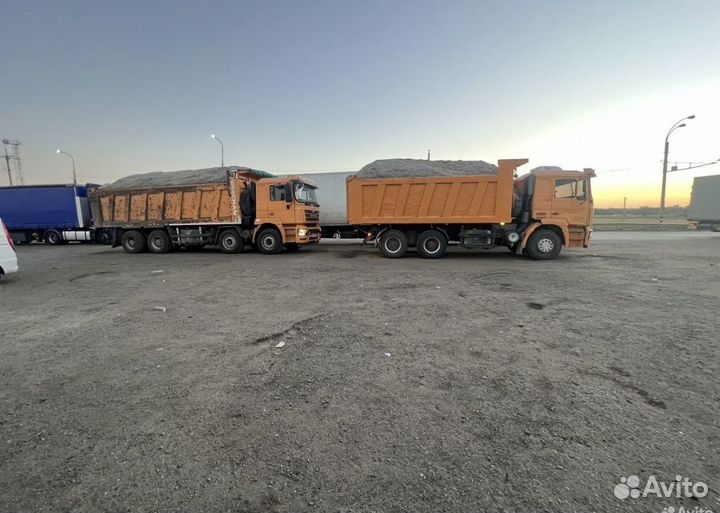 Жом свекольный