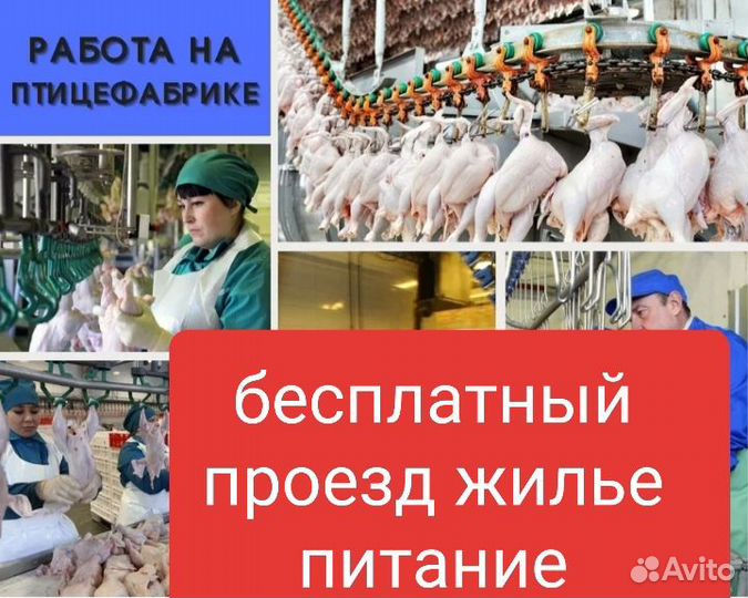 Упаковщик вахта на птицефабрику в В.Новгород проез