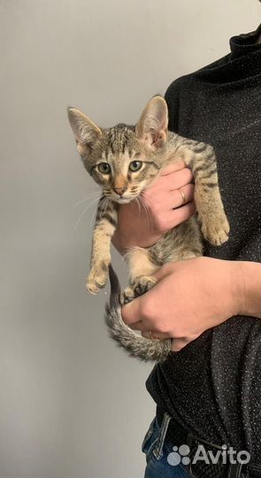 В самые добрые ручки