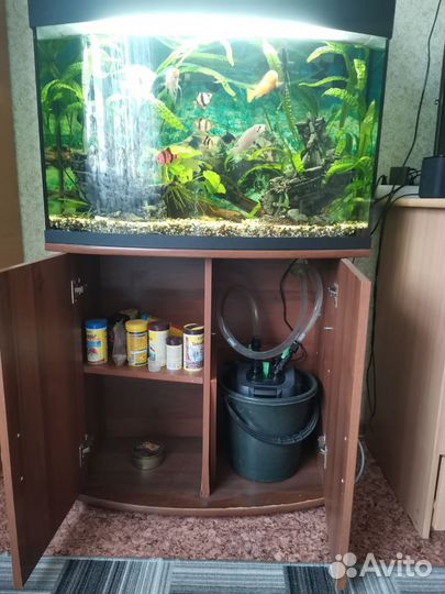 Аквариум