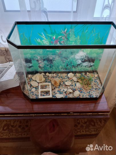 Аквариум