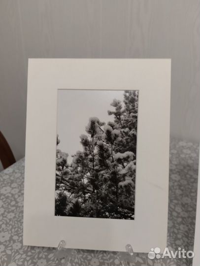 Фотографии