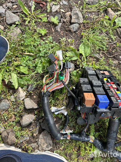 Жгут проводов панели калина 2