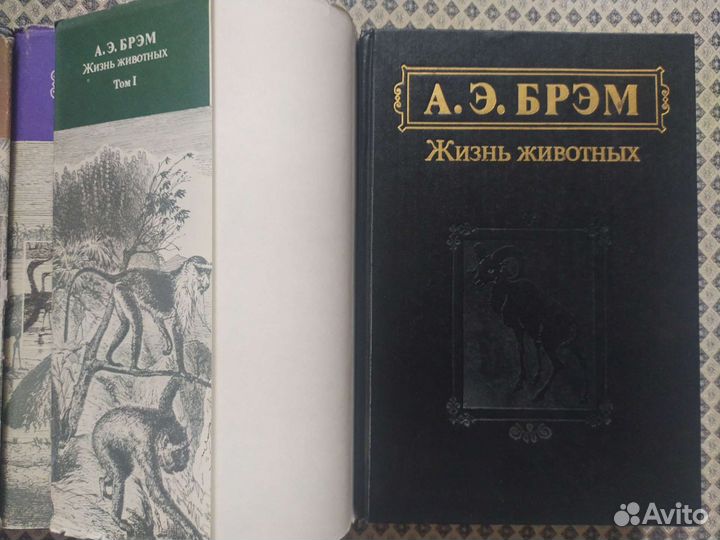 Брэм. Жизнь животных, в 3-х томах