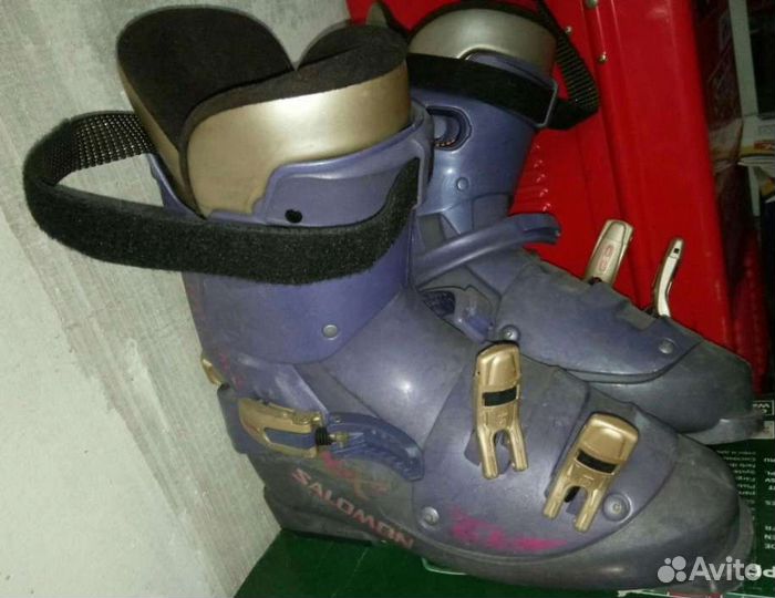 Горные лыжи