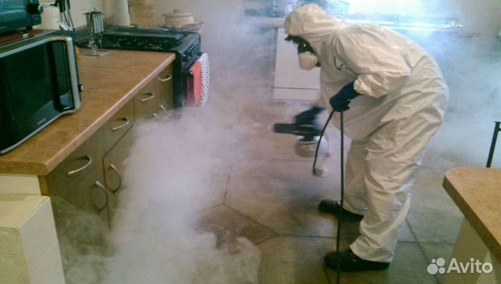 Средство для Уничтожения клопов тараканов плесени клещей
