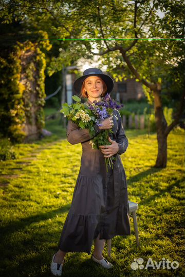 Многолетние растения для сада