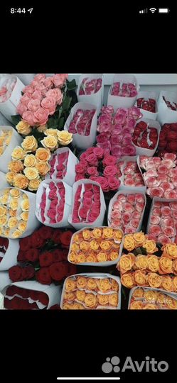 Розы Оптом и в Розницу Букеты