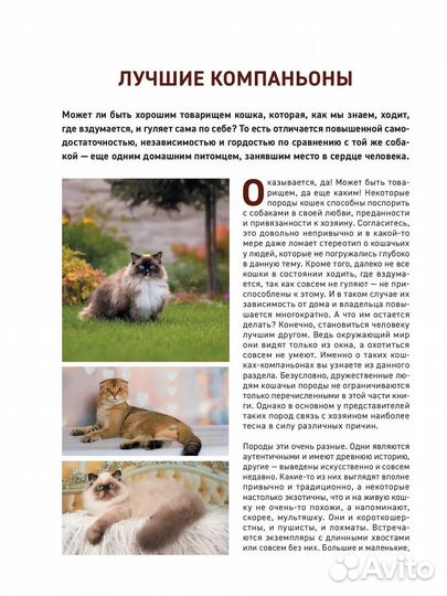 Книга про кошек