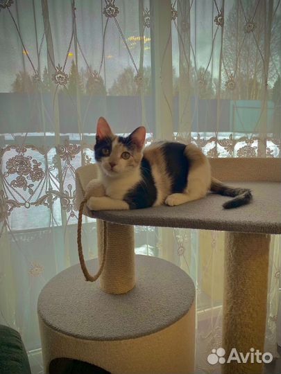 Девочка подросток в добрые руки