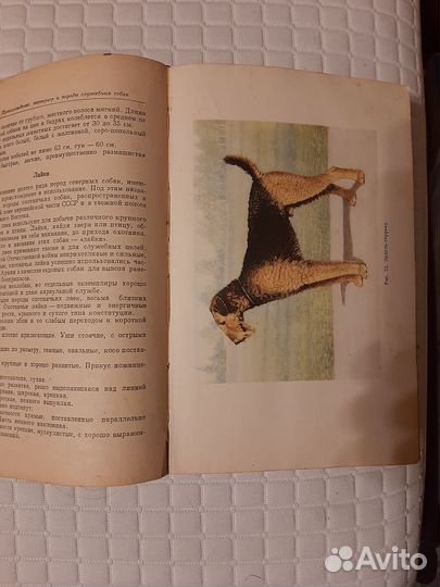 Книги по собаководству