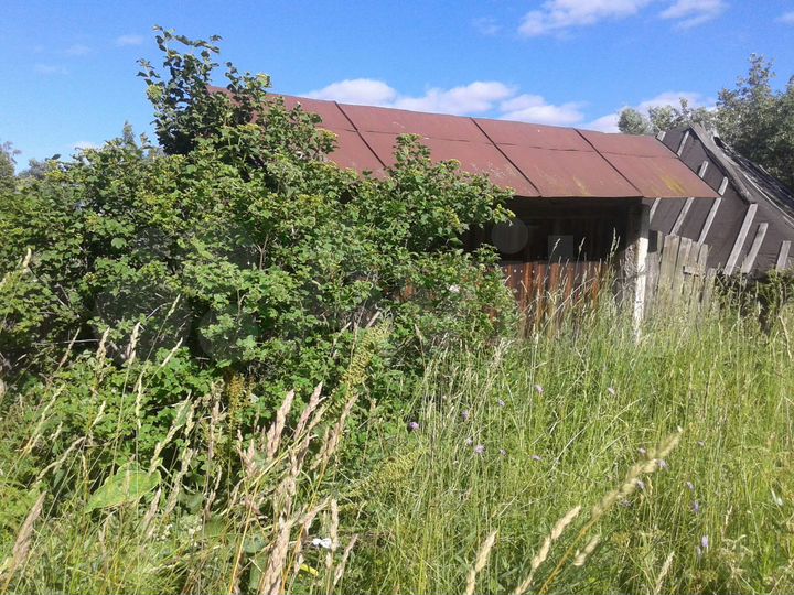 Дом 50 м² на участке 33 сот.