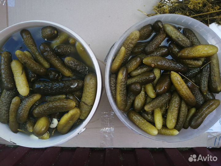 Соленья оптом