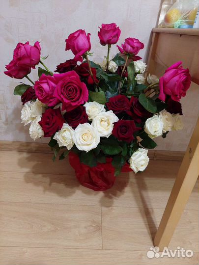 Швея универсал