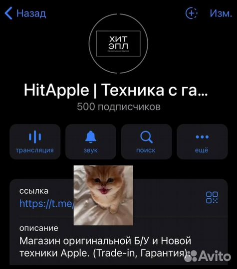 iPhone 16 Pro Max, 256 ГБ