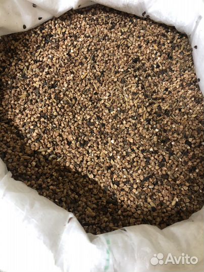 Гречка для собак