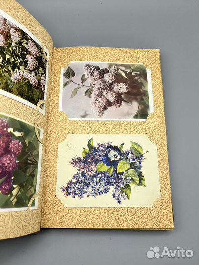 Альбом с открытками СССР. Цветы