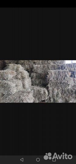 Сено в тюках разнотравье