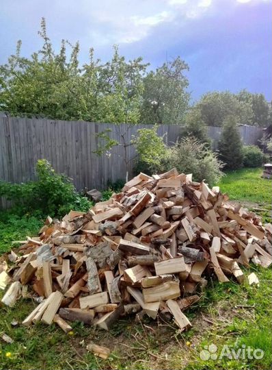 Дрова Береза