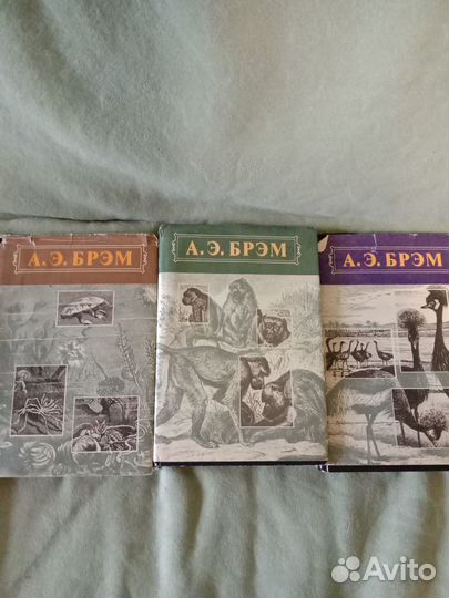 Брэм жизнь животных