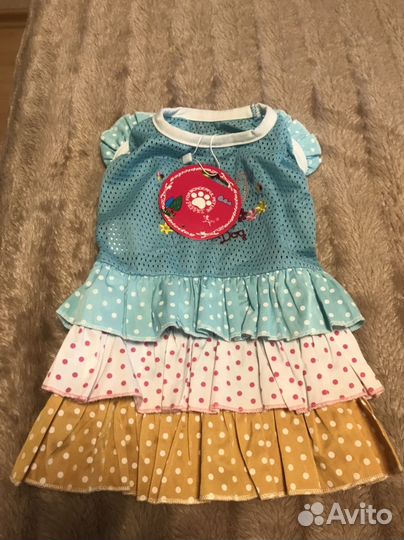 Одежда для собак