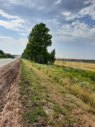 Участок 18,5 га (СНТ, ДНП)