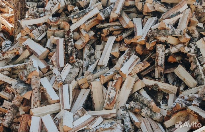 Дрова береза