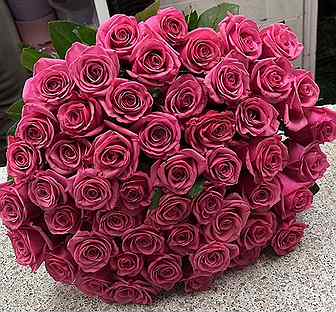 Купить 51 розу розовую. Цветы розы букеты