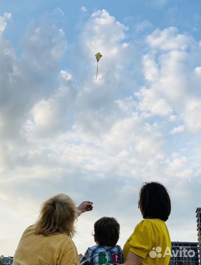 Воздушный змей