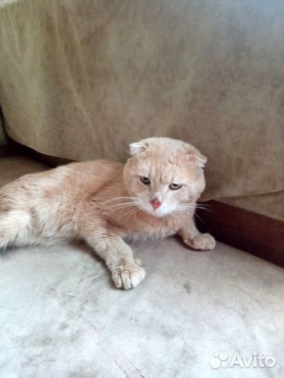 Тиша вас очень ждёт