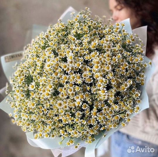 Ромашки букет