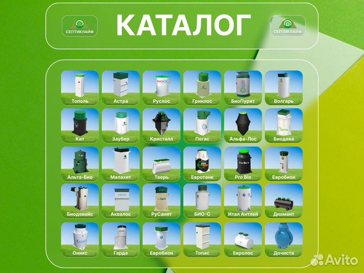 Септик Заубер