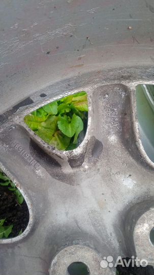 Диски jaguar r17