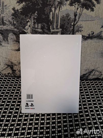 Мир игры The Last of Us Part 2