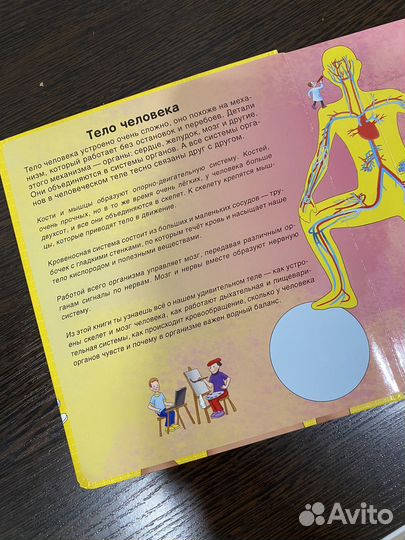 Книга детская с окошками Тело человека