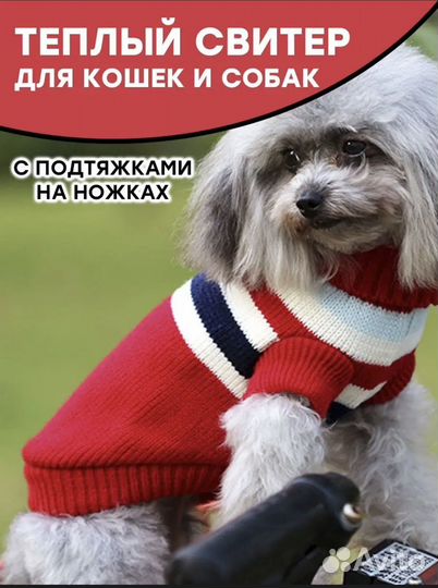 Одежда для собак и кошек