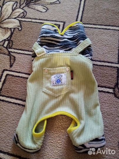 Одежда для маленьких собак