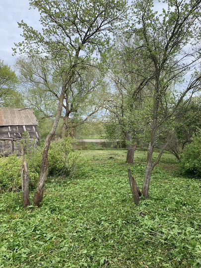 Дом 43 м² на участке 41 сот.