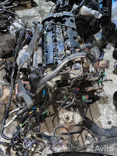 Двигатель Peugeot 406 (1995 - 2004) 2.0 EW10