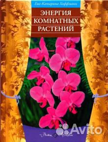 Энергия комнатных растений